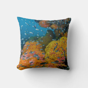 Coussin Poisson parmi récif corallien