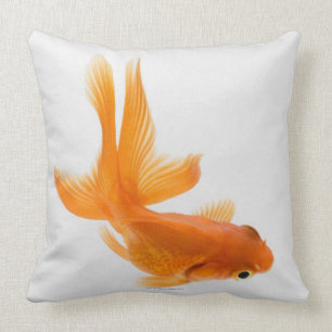 Coussin Poisson rouge de rose des vents (auratus de