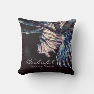 Coussin Poisson rouge (Pterois volitans, Linnaeus, 1758)