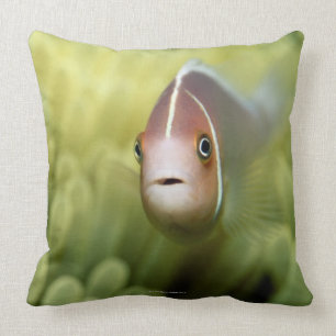 Coussin Poissons d'anémone roses