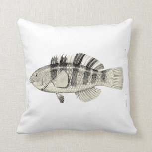 Coussin Poissons vintages de NZ de la Science - poissons