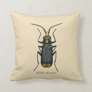 Coussin Polyester vintage de réversible d'entomologie