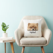 Coussin Poméranien Peeking Chiens Sublimation Bundle Graph (Chaise)