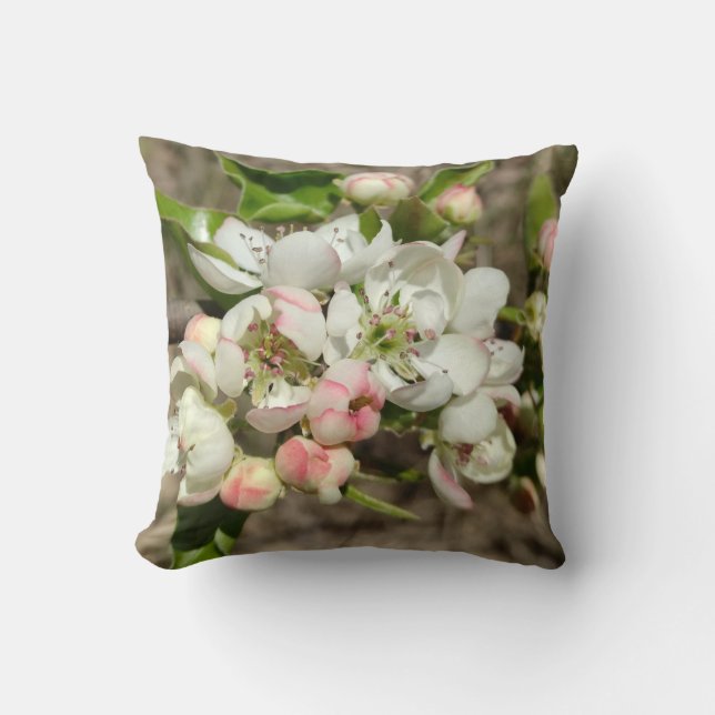 Coussin Pomme bourre fleur (Recto)