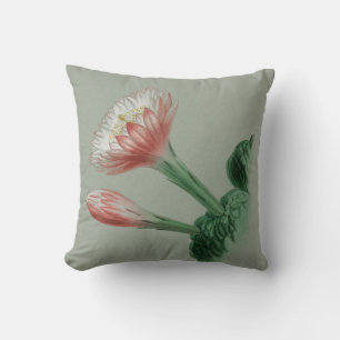 Coussin Pomme péruvienne
