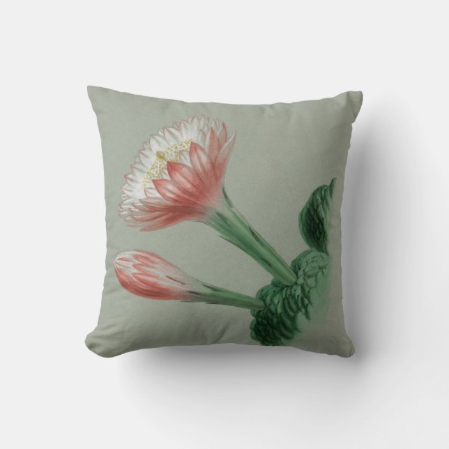 Coussin Pomme péruvienne (Recto)