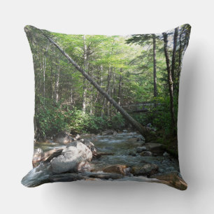 Coussin Pont sur la rivière Pemigewasset dans le New Hamps
