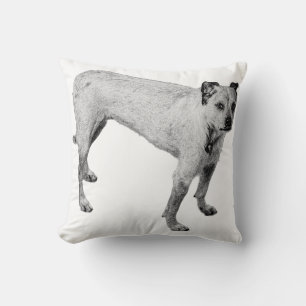 Coussin Porc - Compagnon lumière
