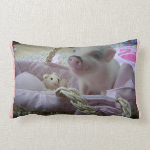Coussin porcin mignon