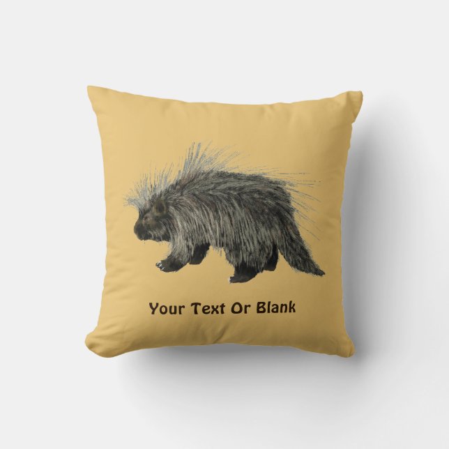 Coussin Porcupine (Recto)