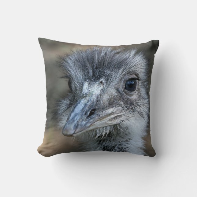 Coussin Portrait américain de nandou (Recto)