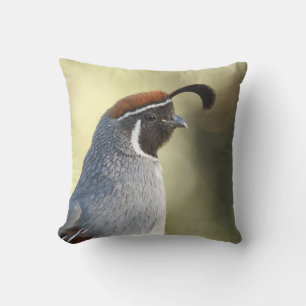 Coussin Portrait de caille mâle
