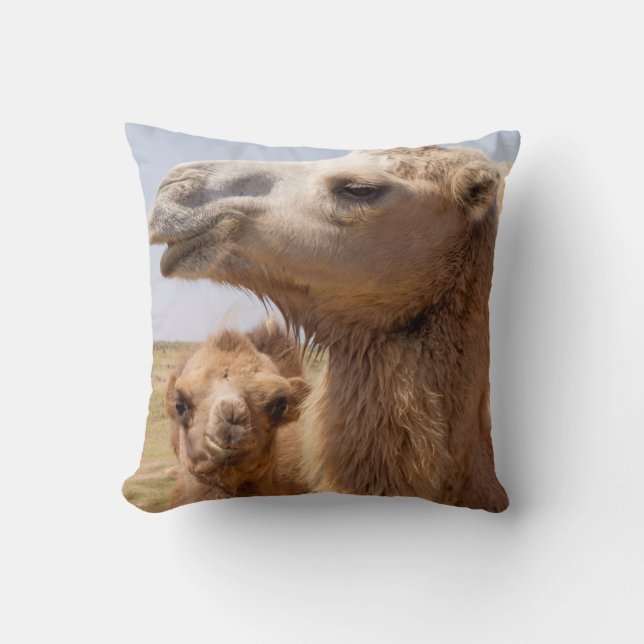Coussin Portrait de chameau de Bactriane (Recto)