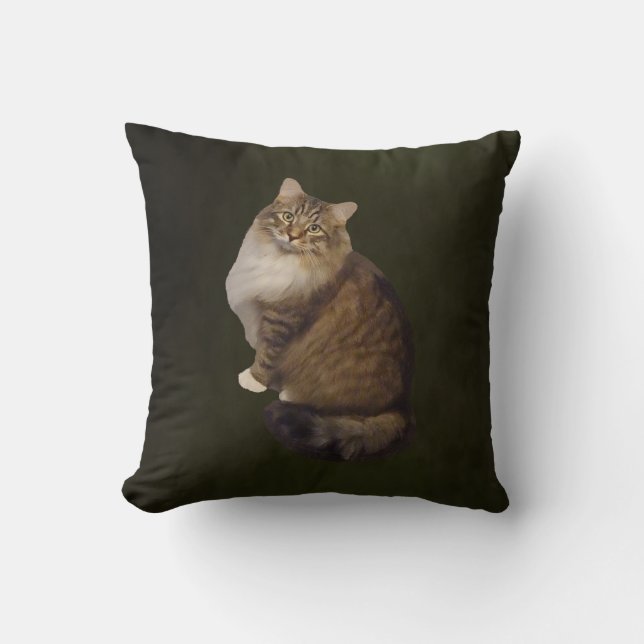 Coussin Portrait de chat Maine Coon (Recto)