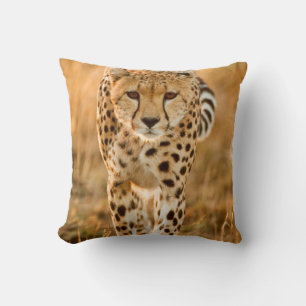 Coussin Portrait de Cheetah