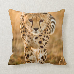Coussin Portrait de Cheetah