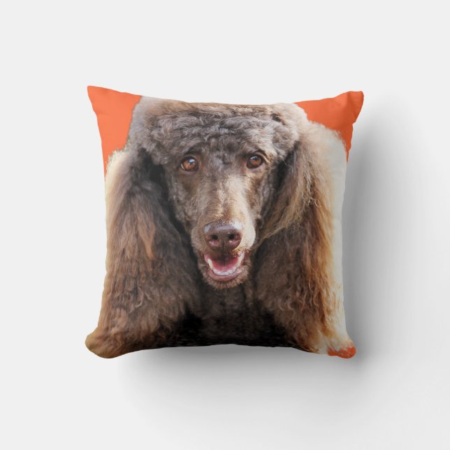 Coussin Portrait de chien de caniche (Recto)