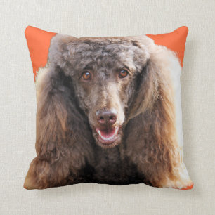 Coussin Portrait de chien de caniche