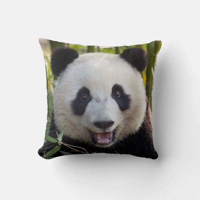 Coussin Portrait de Panda Souriant (Recto)