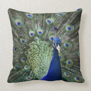 Coussin Portrait de paon avec des plumes