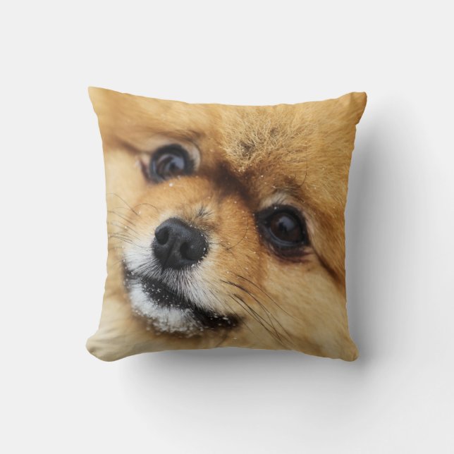 Coussin Portrait de Pomeranian (Recto)