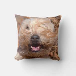 Coussin Portrait de Terrier roux à revêtement souple