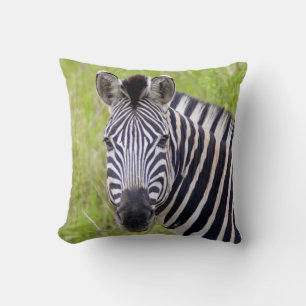 Coussin Portrait de zèbre des plaines, réserve de chasse H