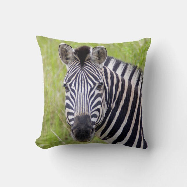 Coussin Portrait de zèbre des plaines, réserve de chasse H (Recto)
