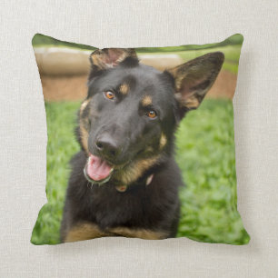 Coussin Portrait d'un berger allemand