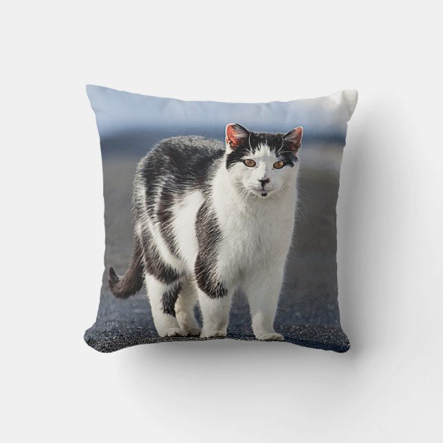 Coussin Portrait d'un chat (Recto)