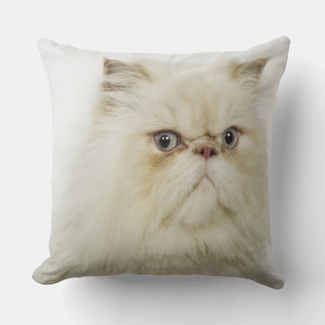 Coussin Portrait d'un chat persan (Recto)