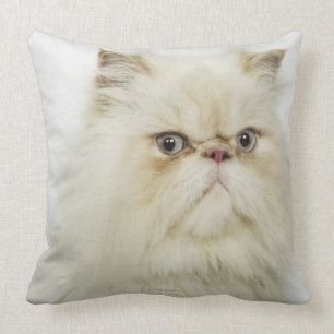 Coussin Portrait d'un chat persan