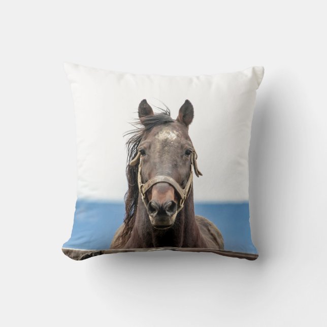 Coussin Portrait d'un cheval (Recto)