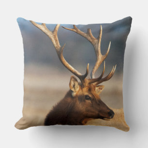 Coussin Portrait d'un élan mâle superbe