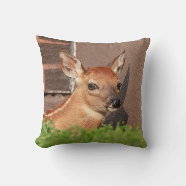 Coussin Portrait d'un faon (cerf de Virginie) (Recto)