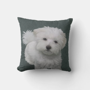 Coussin Portrait d'un petit chien blanc