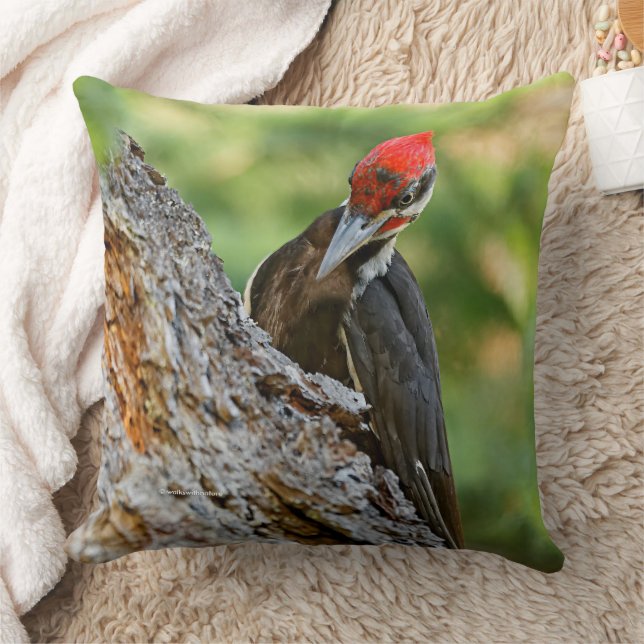Coussin Portrait époustouflant d'un pic à tête rouge dans  (Couverture)