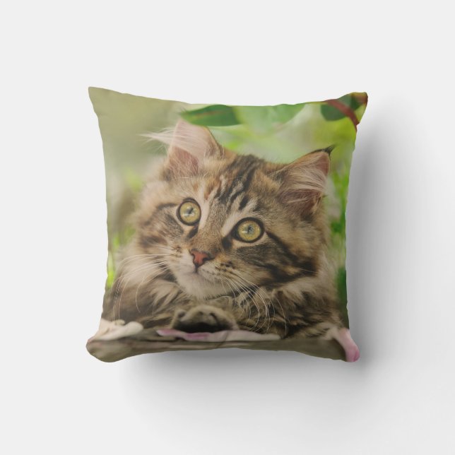 Coussin Portrait mignon de chaton de chat de ragondin du (Recto)