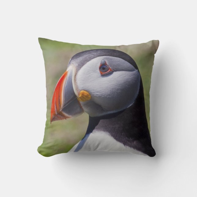 Coussin Portrait Puffin (Recto)