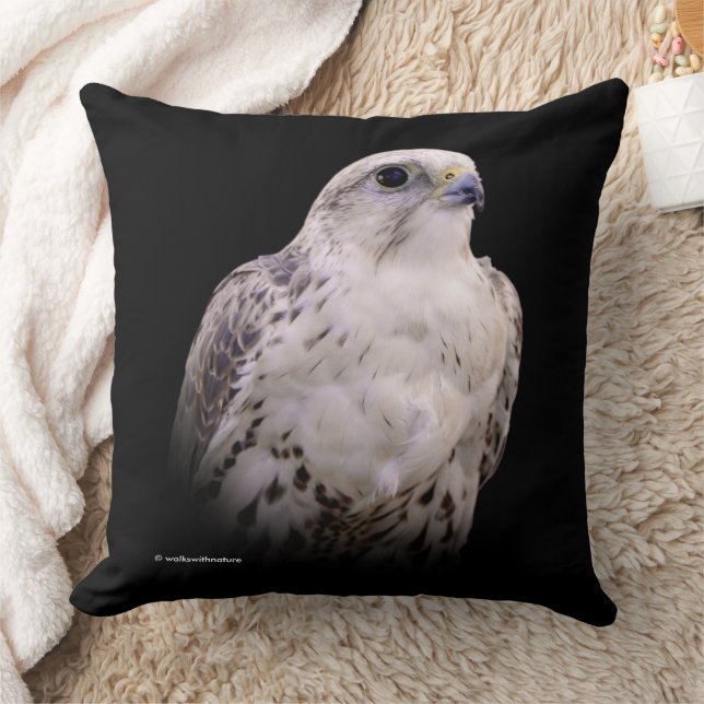 Coussin Portrait signé d'un faucon de Saker curieux (Couverture)