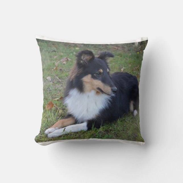 Coussin pose bronzage de blanc noir de SHP de shet (Recto)