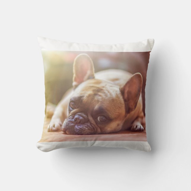 Coussin pose de bouledogue français (Recto)