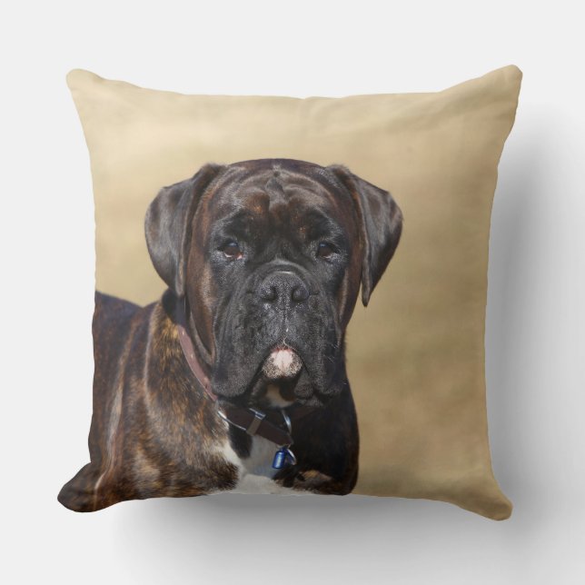 Coussin Position Brindle de chien de boxeur (Recto)