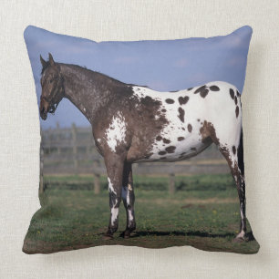 Coussin Position de cheval d'Appaloosa