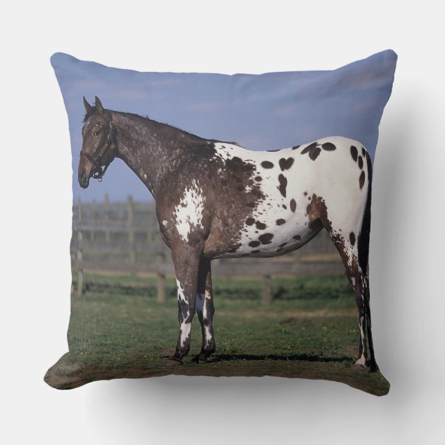 Coussin Position de cheval d'Appaloosa (Recto)