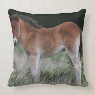 Coussin Position de poulain