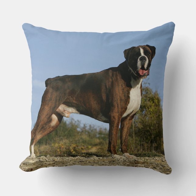 Coussin Position d'exposition canine de boxeur (Recto)