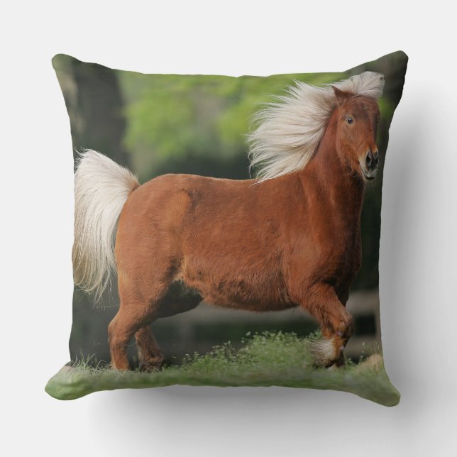 Coussin Position miniature de cheval (Recto)