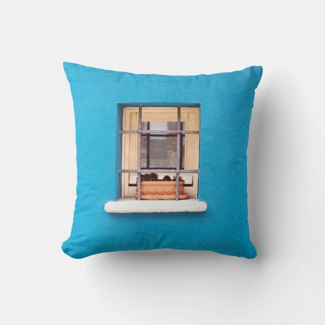 Coussin POT EN ARGILE Brown SUR LA FENÊTRE (Recto)