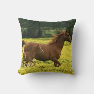 Coussin poulain arabe et jument courant à travers